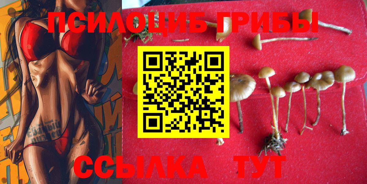 Псилоцибиновые грибы мухоморы Петропавловск-Камчатский
